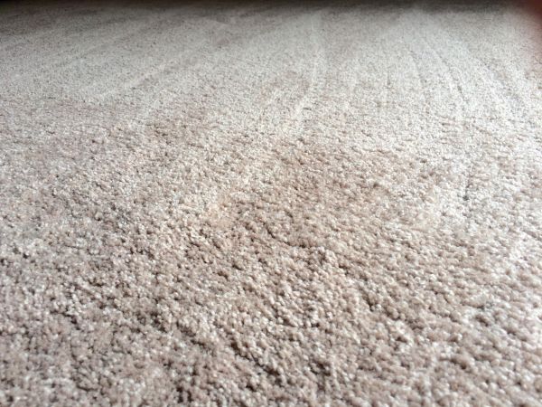 Plush Carpet Installation in Salinas