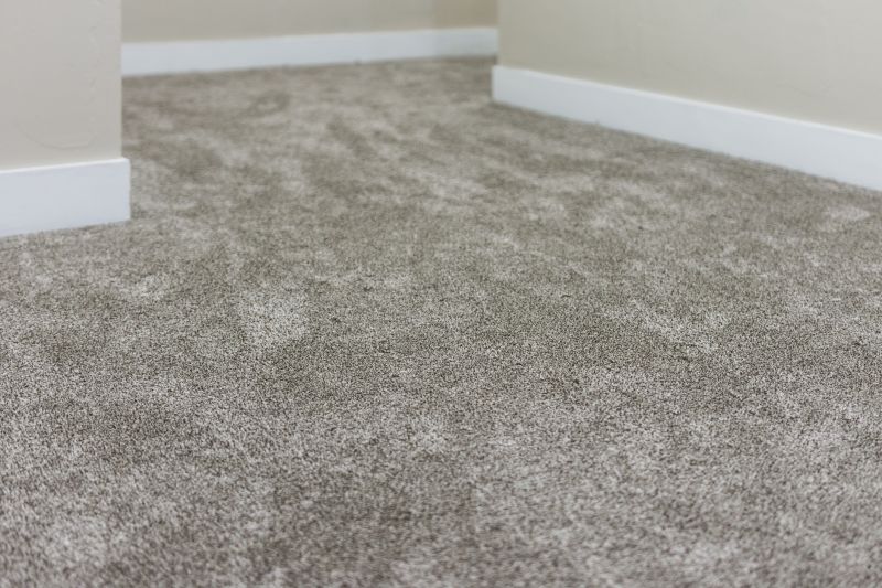 Post-Event Carpet Care